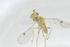  ( - CBG-A14329-C12)  @11 [ ] CreativeCommons - Attribution Share - Alike (2023) Centre for Biodiversity Genomics Centre for Biodiversity Genomics