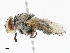 ( - CBG-A14967-B06)  @11 [ ] CreativeCommons - Attribution Share - Alike (2023) CBG Photography Group Centre for Biodiversity Genomics