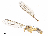  ( - CBG-A14968-H03)  @11 [ ] CreativeCommons - Attribution Share - Alike (2023) CBG Photography Group Centre for Biodiversity Genomics