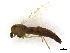  ( - CBG-A14969-H02)  @11 [ ] CreativeCommons - Attribution (2023) CBG Photography Group Centre for Biodiversity Genomics