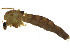  ( - CBG-A14969-H10)  @11 [ ] CreativeCommons - Attribution (2023) CBG Photography Group Centre for Biodiversity Genomics