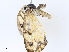  ( - CBG-A14982-A10)  @11 [ ] CreativeCommons - Attribution Share - Alike (2023) CBG Photography Group Centre for Biodiversity Genomics