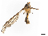  ( - CBG-A14982-H01)  @11 [ ] CreativeCommons - Attribution Share - Alike (2023) CBG Photography Group Centre for Biodiversity Genomics