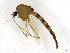  ( - CBG-A14982-H05)  @11 [ ] CreativeCommons - Attribution Share - Alike (2023) CBG Photography Group Centre for Biodiversity Genomics