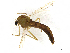  ( - CBG-A14982-H06)  @11 [ ] CreativeCommons - Attribution Share - Alike (2023) CBG Photography Group Centre for Biodiversity Genomics