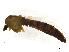  ( - CBG-A14982-H11)  @11 [ ] CreativeCommons - Attribution Share - Alike (2023) CBG Photography Group Centre for Biodiversity Genomics