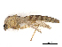  ( - CBG-A14983-H06)  @11 [ ] CreativeCommons - Attribution Share - Alike (2023) CBG Photography Group Centre for Biodiversity Genomics