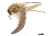  ( - CBG-A14983-H09)  @11 [ ] CreativeCommons - Attribution Share - Alike (2023) CBG Photography Group Centre for Biodiversity Genomics