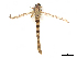  ( - CBG-A14983-H10)  @11 [ ] CreativeCommons - Attribution Share - Alike (2023) CBG Photography Group Centre for Biodiversity Genomics