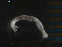  ( - BIOUG01724-G04)  @12 [ ] CreativeCommons - Attribution (2012) Gillian Martin Centre for Biodiversity Genomics