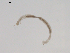  ( - BIOUG02695-A07)  @12 [ ] CreativeCommons - Attribution (2012) Gillian Martin Centre for Biodiversity Genomics