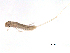  ( - BIOUG02692-D01)  @12 [ ] CreativeCommons - Attribution (2012) Gillian Martin Centre for Biodiversity Genomics