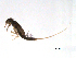  ( - BIOUG02692-D09)  @12 [ ] CreativeCommons - Attribution (2012) Gillian Martin Centre for Biodiversity Genomics