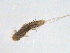  ( - BIOUG02701-D05)  @12 [ ] CreativeCommons - Attribution (2012) Gillian Martin Centre for Biodiversity Genomics