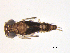  ( - BIOUG02702-E11)  @13 [ ] CreativeCommons - Attribution (2012) Gillian Martin Centre for Biodiversity Genomics