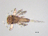  ( - BIOUG02702-G03)  @12 [ ] CreativeCommons - Attribution (2012) Gillian Martin Centre for Biodiversity Genomics
