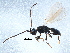  ( - BIOUG14227-G12)  @12 [ ] CreativeCommons - Attribution (2014) CBG Photography Group Centre for Biodiversity Genomics