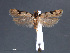  ( - SL0416)  @12 [ ] CreativeCommons - Attribution Non-Commercial Share-Alike (2011) Sangmi Lee Mississippi Entomological Museum