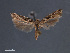  ( - SL0426)  @11 [ ] CreativeCommons - Attribution Non-Commercial Share-Alike (2011) Sangmi Lee Mississippi Entomological Museum