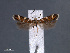  ( - SL0428)  @11 [ ] CreativeCommons - Attribution Non-Commercial Share-Alike (2011) Sangmi Lee Mississippi Entomological Museum
