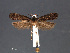  ( - SL0476)  @13 [ ] CreativeCommons - Attribution Non-Commercial Share-Alike (2011) Sangmi Lee Mississippi Entomological Museum