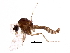  ( - BIOUG14764-E02)  @11 [ ] CreativeCommons - Attribution (2017) CBG Photography Group Centre for Biodiversity Genomics