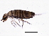  ( - BIOUG04086-A06)  @14 [ ] CreativeCommons - Attribution (2013) CBG Photography Group Centre for Biodiversity Genomics