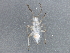  ( - BIOUG04112-H05)  @12 [ ] CreativeCommons - Attribution (2013) CBG Photography Group Centre for Biodiversity Genomics