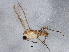  ( - BIOUG04114-B08)  @12 [ ] CreativeCommons - Attribution (2013) CBG Photography Group Centre for Biodiversity Genomics