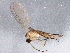  ( - BIOUG04114-C06)  @13 [ ] CreativeCommons - Attribution (2013) CBG Photography Group Centre for Biodiversity Genomics