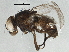  ( - BIOUG04114-H07)  @12 [ ] CreativeCommons - Attribution (2013) CBG Photography Group Centre for Biodiversity Genomics