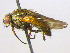  ( - BIOUG04263-E01)  @14 [ ] CreativeCommons - Attribution (2013) CBG Photography Group Centre for Biodiversity Genomics