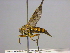  ( - BIOUG04264-A10)  @13 [ ] CreativeCommons - Attribution (2013) CBG Photography Group Centre for Biodiversity Genomics
