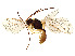  ( - BIOUG04115-H01)  @11 [ ] CreativeCommons - Attribution Share - Alike (2023) CBG Photography Group Centre for Biodiversity Genomics