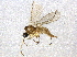  ( - BIOUG04119-D01)  @13 [ ] CreativeCommons - Attribution (2013) CBG Photography Group Centre for Biodiversity Genomics