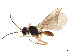  ( - BIOUG04151-C01)  @11 [ ] CreativeCommons - Attribution Share - Alike (2023) CBG Photography Group Centre for Biodiversity Genomics