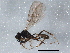  ( - BIOUG04115-D05)  @13 [ ] CreativeCommons - Attribution (2013) CBG Photography Group Centre for Biodiversity Genomics
