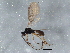  ( - BIOUG04115-F05)  @13 [ ] CreativeCommons - Attribution (2013) CBG Photography Group Centre for Biodiversity Genomics