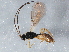  ( - BIOUG04115-H07)  @13 [ ] CreativeCommons - Attribution (2013) CBG Photography Group Centre for Biodiversity Genomics
