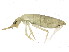 ( - BIOUG04117-E04)  @15 [ ] CreativeCommons - Attribution (2013) CBG Photography Group Centre for Biodiversity Genomics