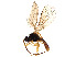  ( - BIOUG04159-D09)  @11 [ ] CreativeCommons - Attribution Share - Alike (2023) CBG Photography Group Centre for Biodiversity Genomics