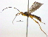  ( - BIOUG04267-E10)  @13 [ ] CreativeCommons - Attribution (2013) CBG Photography Group Centre for Biodiversity Genomics