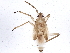  ( - BIOUG04154-B11)  @12 [ ] CreativeCommons - Attribution (2013) CBG Photography Group Centre for Biodiversity Genomics