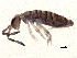  ( - BIOUG04213-F07)  @14 [ ] CreativeCommons - Attribution (2013) CBG Photography Group Centre for Biodiversity Genomics