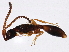  ( - BIOUG04215-D02)  @14 [ ] CreativeCommons - Attribution (2013) CBG Photography Group Centre for Biodiversity Genomics