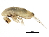  ( - BIOUG04218-C12)  @14 [ ] CreativeCommons - Attribution (2013) CBG Photography Group Centre for Biodiversity Genomics