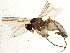  ( - BIOUG04217-D08)  @11 [ ] CreativeCommons - Attribution (2013) CBG Photography Group Centre for Biodiversity Genomics