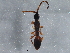  ( - BIOUG04219-B06)  @12 [ ] CreativeCommons - Attribution (2013) CBG Photography Group Centre for Biodiversity Genomics
