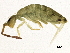  ( - BIOUG04218-H08)  @15 [ ] CreativeCommons - Attribution (2013) CBG Photography Group Centre for Biodiversity Genomics