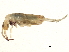  ( - BIOUG04262-D12)  @14 [ ] CreativeCommons - Attribution (2013) CBG Photography Group Centre for Biodiversity Genomics